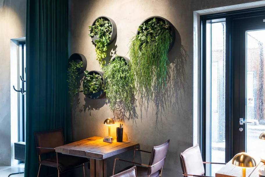 Zink krukker og Zink potter